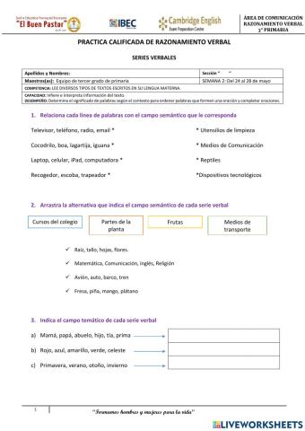 Práctica Calificada RV 3