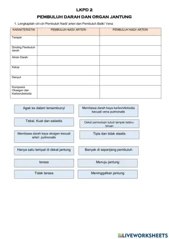 LKPD 2 Pembuluh Darah & Organ Jantung