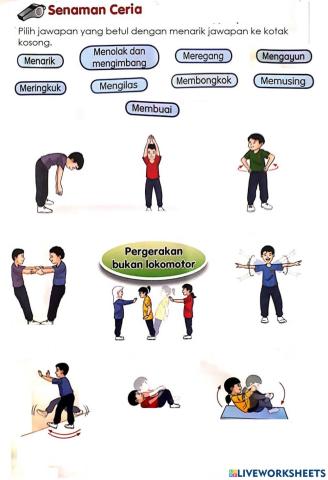 Pendidikan Jasmani Tahun 2