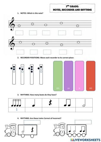 Notes, recorder and rhythms