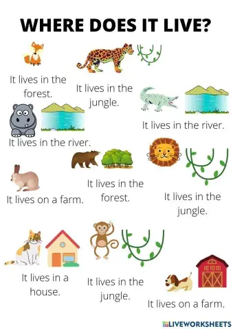 Where does it live?