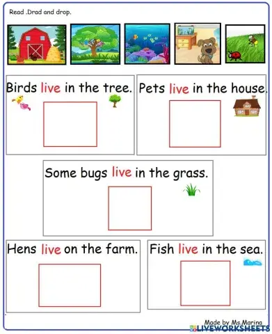Sight word:live