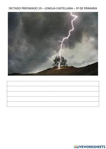 Dictado 19