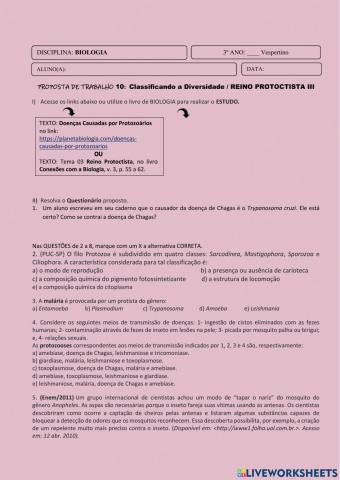 Reino Protoctista III