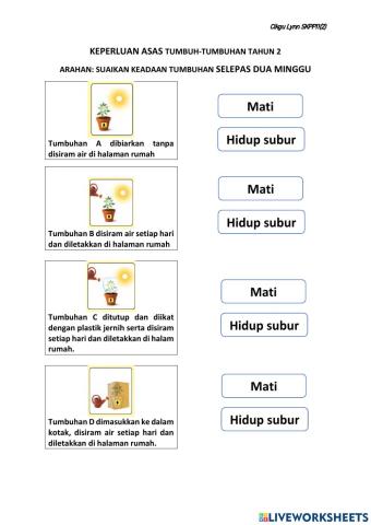 Keperluan asas tumbuhan tahun 2