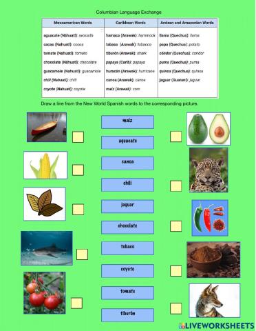 Columbian Language Exchange