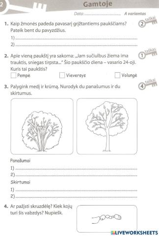 Pasitikrinamasis darbas.