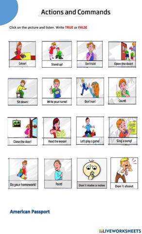 Commands Amerpassport