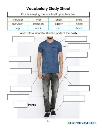 Body Parts Vocabulary Diagram