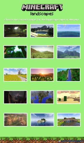 Minecraft: landscapes