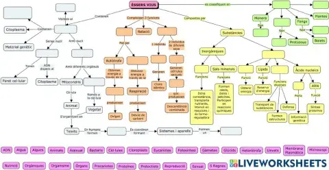 Els éssers vius-mapa conceptual amb opcions