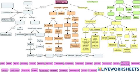 Els éssers vius-mapa conceptual amb opcions