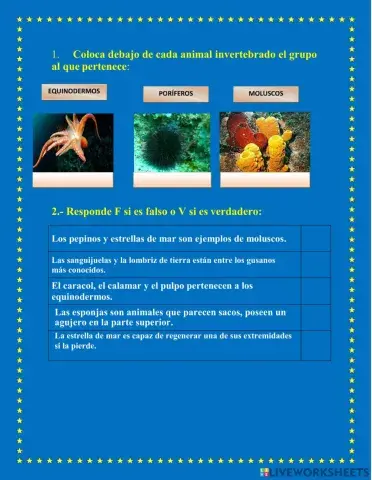 Animales invertebrados