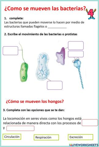 Movimientos de los hongos