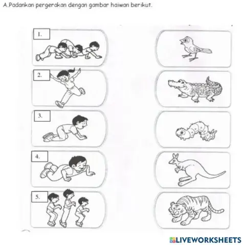 Pendidikan Jasmani Tahun 1 (Pergerakkan Haiwan)