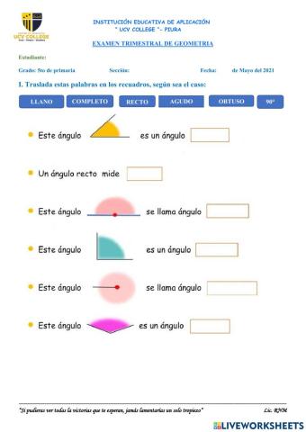 Examen trimestral de Geometria