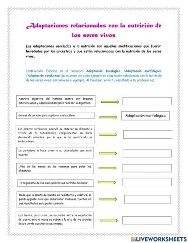 Adaptaciones de los seres vivos
