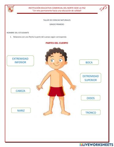 Ciencias naturales peimero