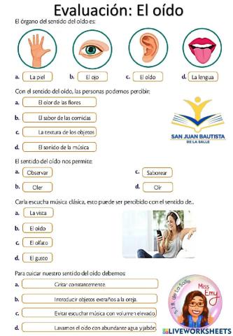 El sentido del oído