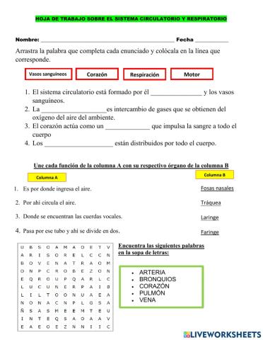 Hoja de trabajo profe mariela alfaro
