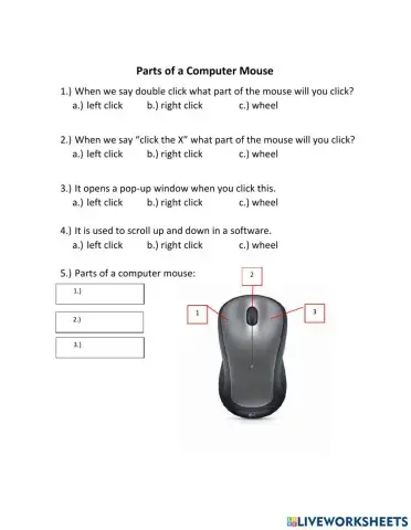 Parts of a computer mouse worksheet