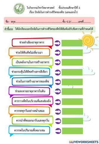 ปัจจัยในการดำรงชีวิตของพืช (แสงและน้ำ)