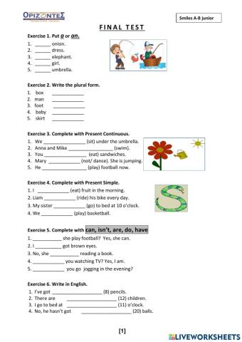 Smiles  -FINAL TEST - A junior