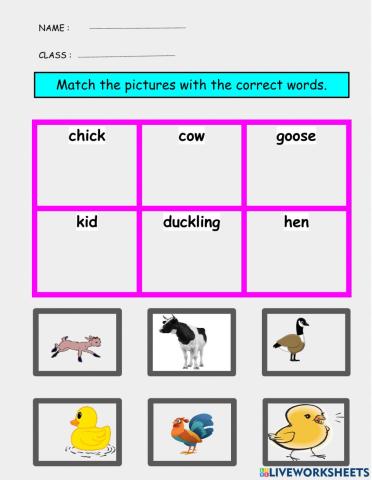 Animals in the farm-matching