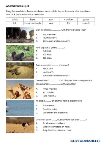 Animal Skills Quiz