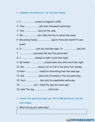 HS1 Past Simple (All forms)