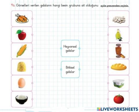 Bitkisel mi? Hayvan mı?