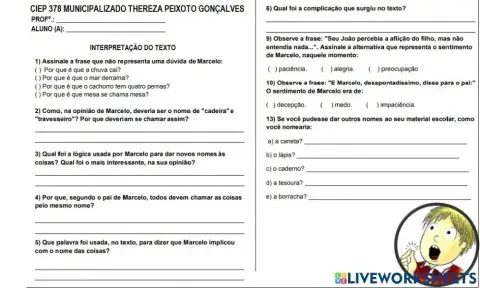 Interpretação livro marcelo