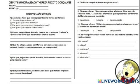 Interpretação livro marcelo