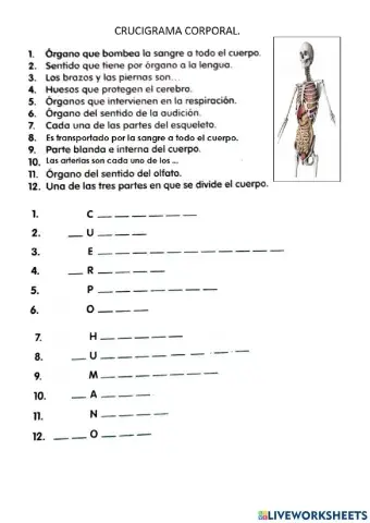 Clase de Ciencias naturales.