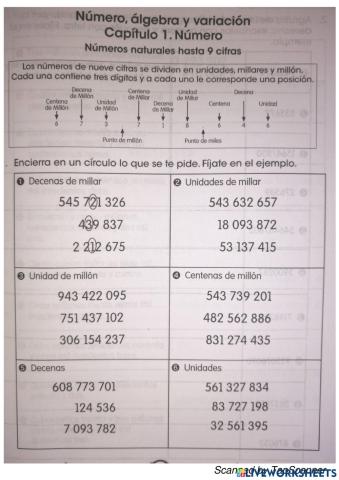 Números naturales hasta 9 cifras