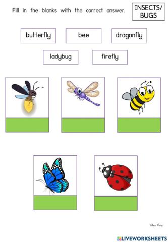 Insects-Bugs
