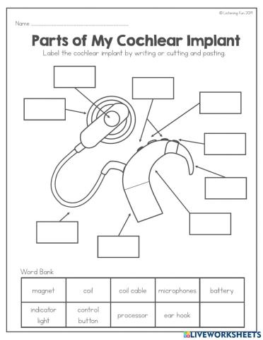 Cochlear Implant Parts