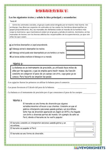 Idea principal y secundarias