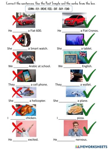 Past Simple Affirmate and Negative