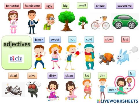 Adjectives