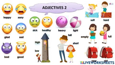 Week 6 Adjectives 2