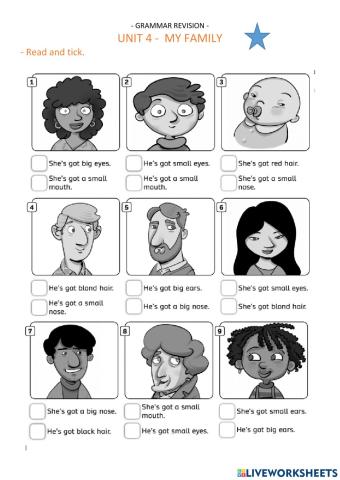 Unit 4 - grammar revision