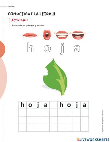 Actividad 2 letra H