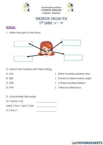 5th grade diagnostic test