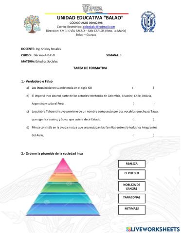 Tarea Formativa3