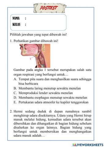 Posttest pertemuan 1