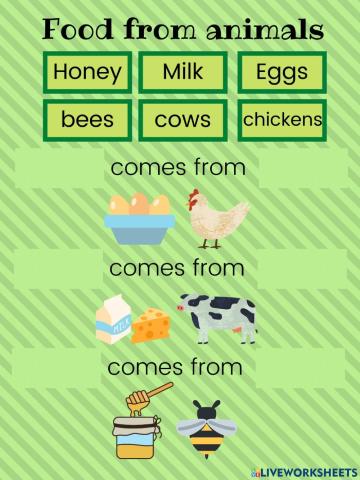 FOOD FROM ANIMALS
