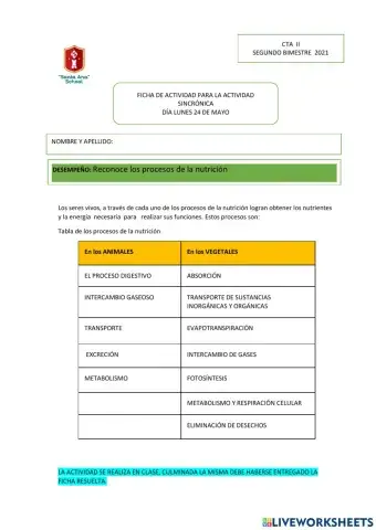 Procesos de la nutrición