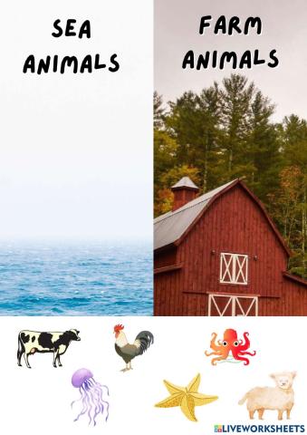 Animals