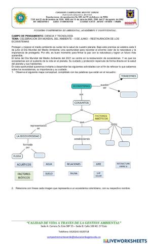 Dia mundial del ambiente